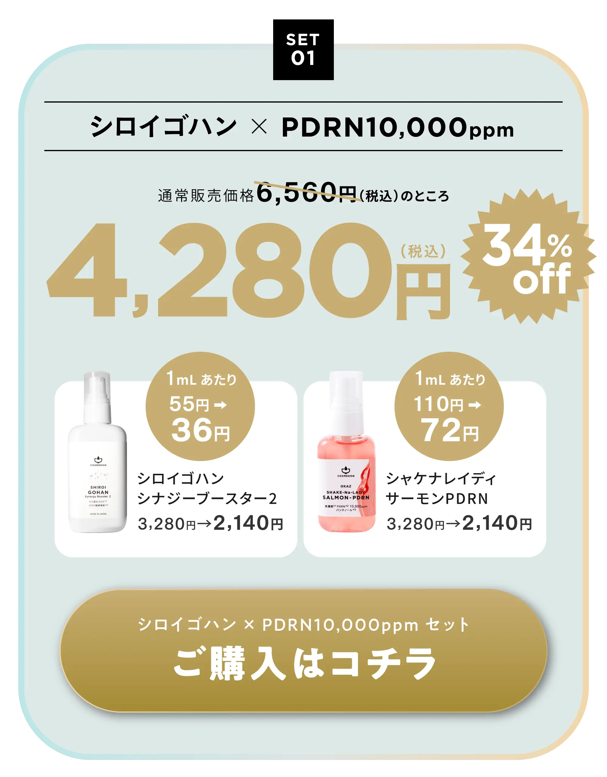 キャンペーン