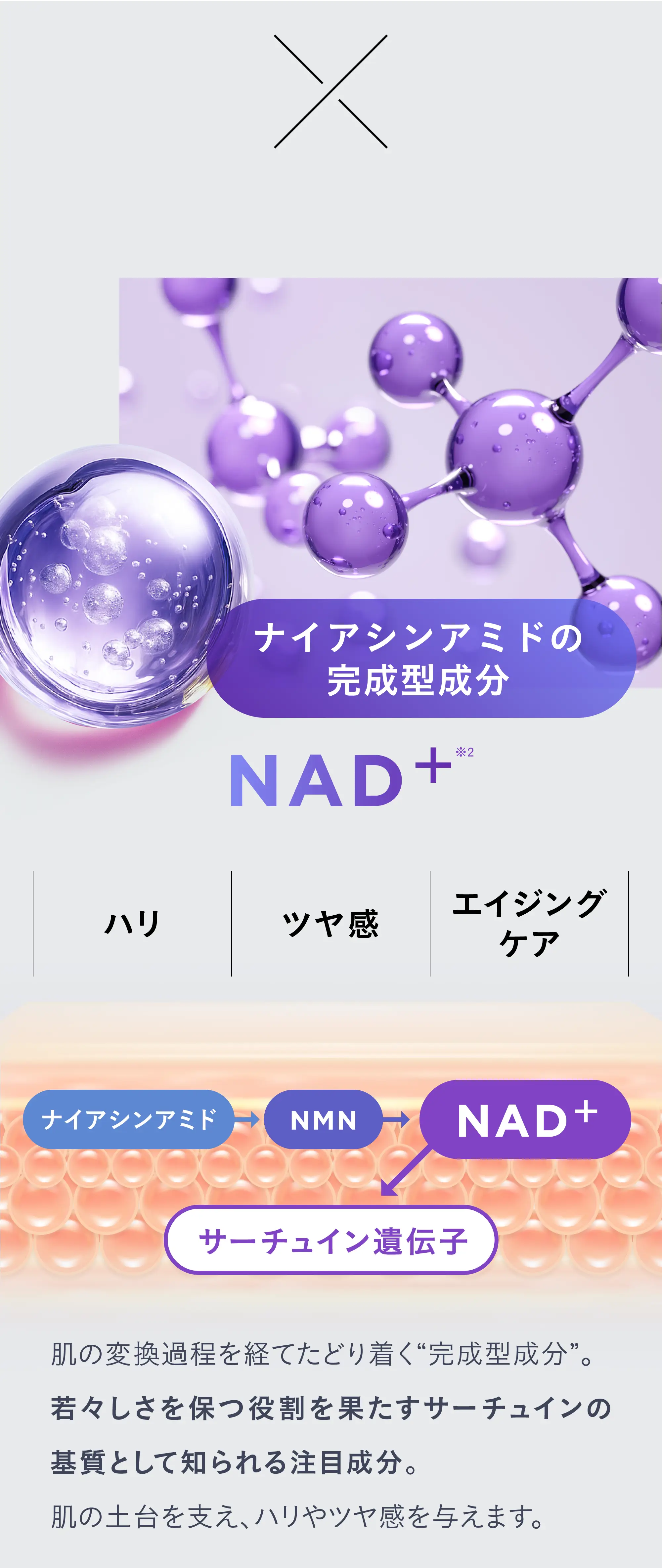NAD+,ナイアシンアミド,エイジングケア